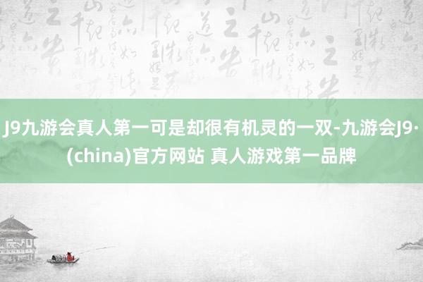 J9九游会真人第一可是却很有机灵的一双-九游会J9·(china)官方网站 真人游戏第一品牌