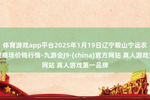 体育游戏app平台2025年1月19日辽宁鞍山宁远农产物批发商场价钱行情-九游会J9·(china)官方网站 真人游戏第一品牌